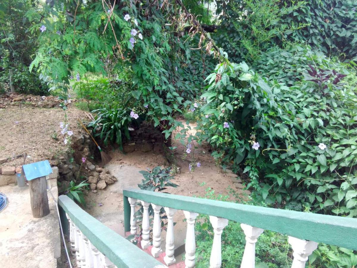 Green View Ella Ngoại thất bức ảnh
