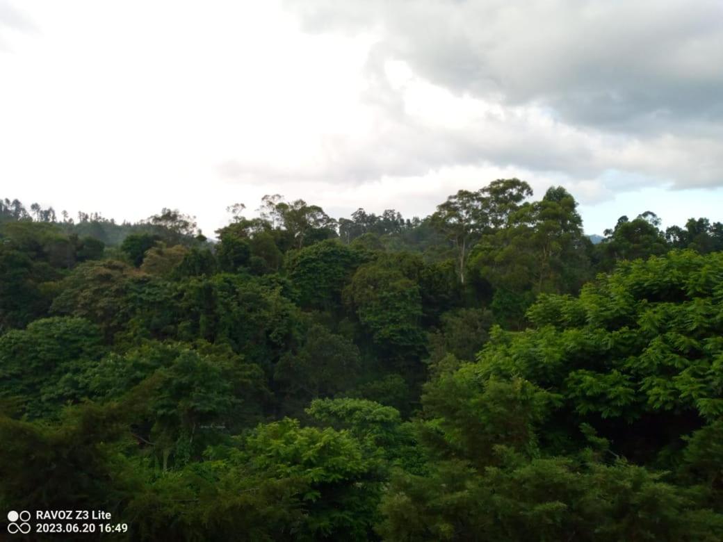 Green View Ella Ngoại thất bức ảnh